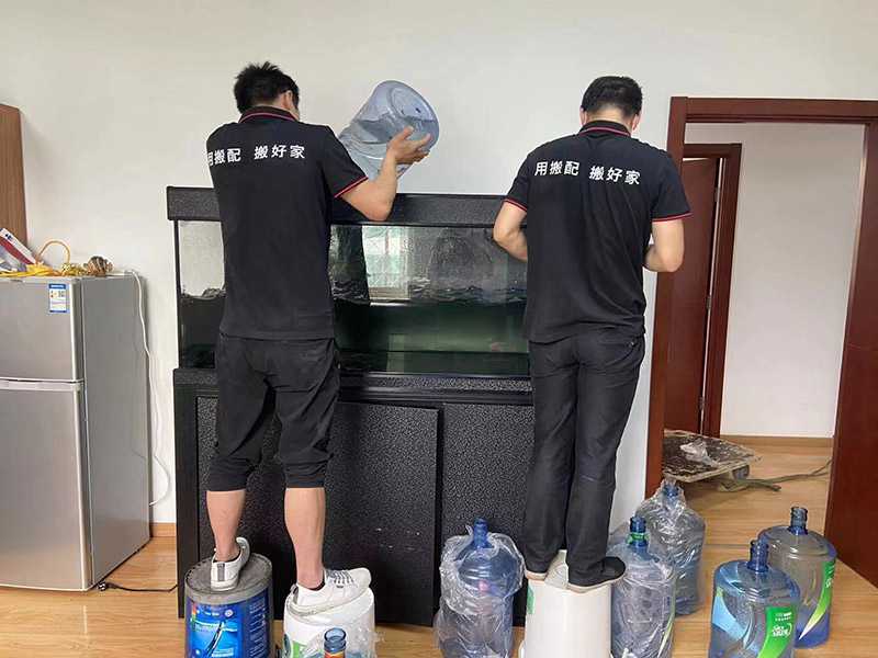 1659682048494873.jpg 運(yùn)輸易碎物品怎么搬